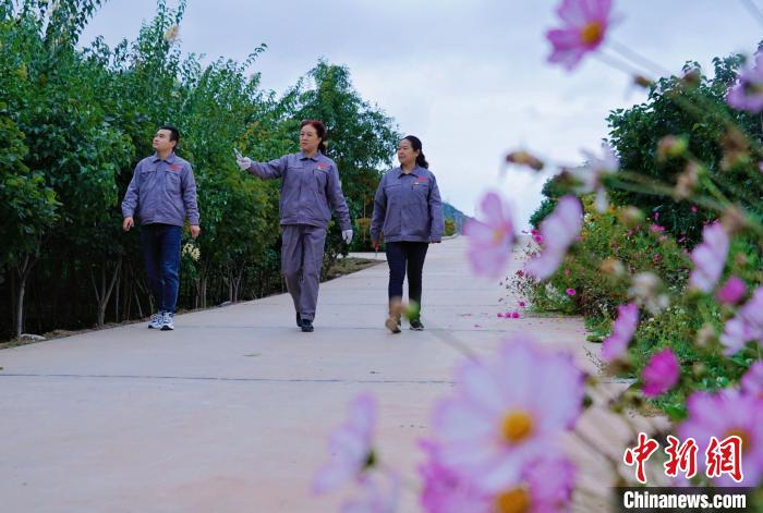 圖為張錦梅(中)與同事在西寧北山查看丁香樹?！●R銘言 攝