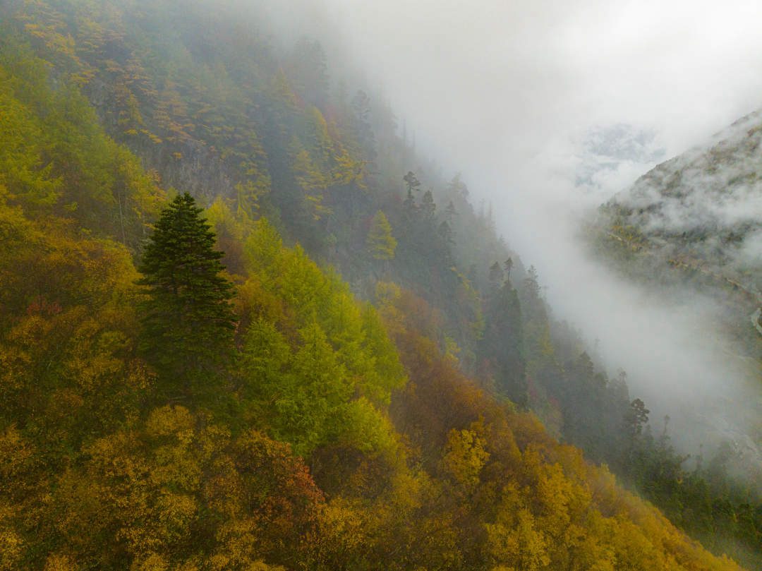 云纏霧繞，層林盡染。