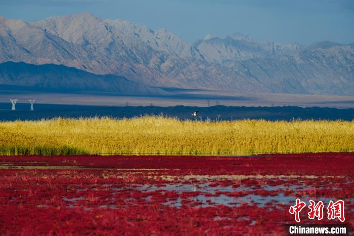 圖為柴達木盆地可魯克湖?！」?攝
