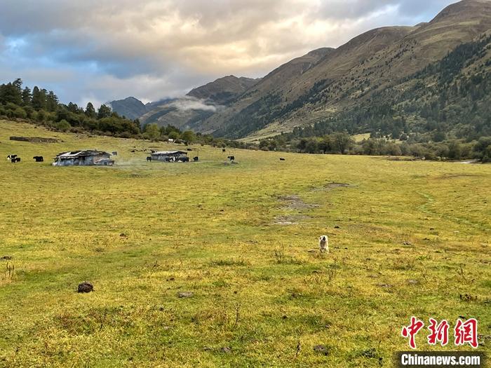 圖為9月27日新沾牧場的早晨景色。 <a target='_blank' href='/'><p  align=