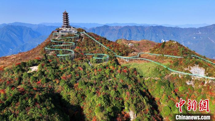 巴山大峽谷彩林迎來(lái)最佳觀賞期?！∫κ?攝