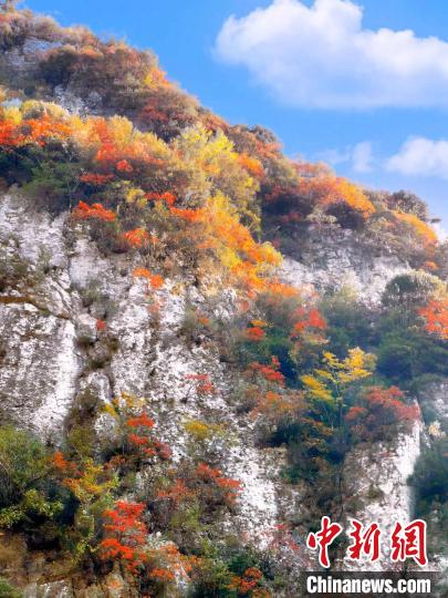 彩林色彩斑斕?！≈炱桨?攝