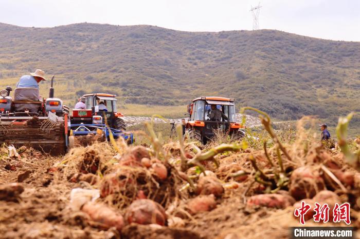 青海東部農業(yè)區(qū)：“一分川、一分水、八分山”里“刨金記”