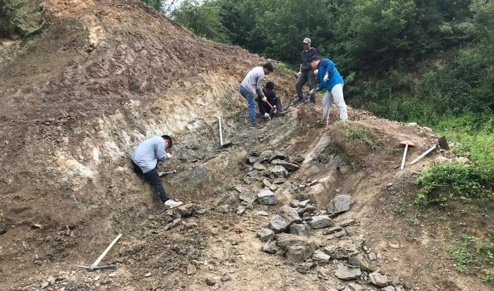 2018年玉海翼角魚野外發(fā)掘采集現(xiàn)場。　蓋志琨 攝