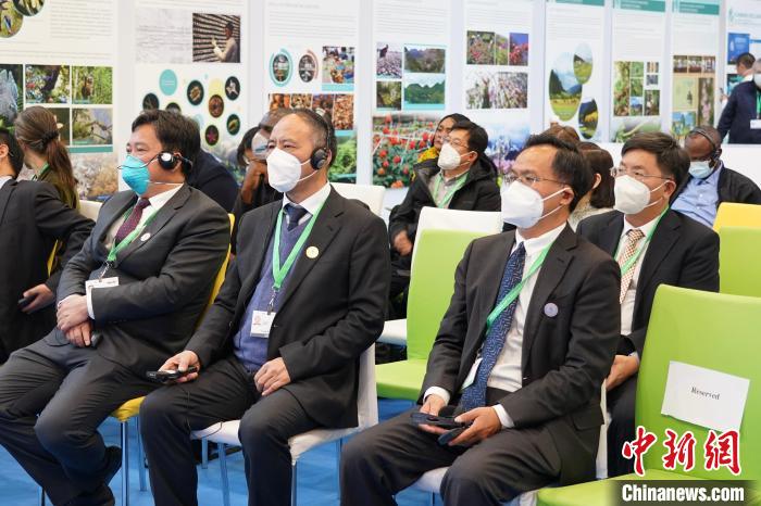 圖為極小種群物種和生物多樣性保護(hù)邊會現(xiàn)場?！≡颇鲜×謽I(yè)和草原局供圖