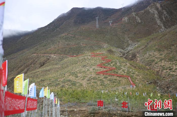 圖為拉薩南北山綠化工程拉薩曲水縣才納村5號片區(qū)?！∝暣_ 攝