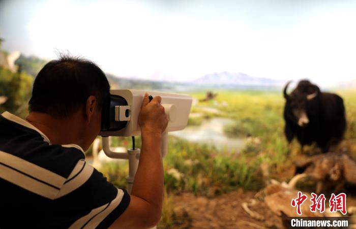 圖為臺(tái)商觀看祁連山國(guó)家公園生態(tài)科普館內(nèi)生態(tài)場(chǎng)景?！⊙Φ?攝