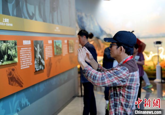 圖為臺(tái)商在祁連山國(guó)家公園生態(tài)科普館觀看墻面藝術(shù)圖文?！⊙Φ?攝