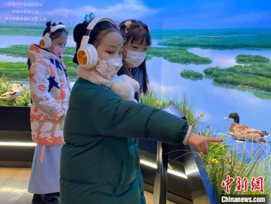 圖為學(xué)生在西寧市第一中學(xué)濕地科普宣教館內(nèi)參觀。　李江寧 攝