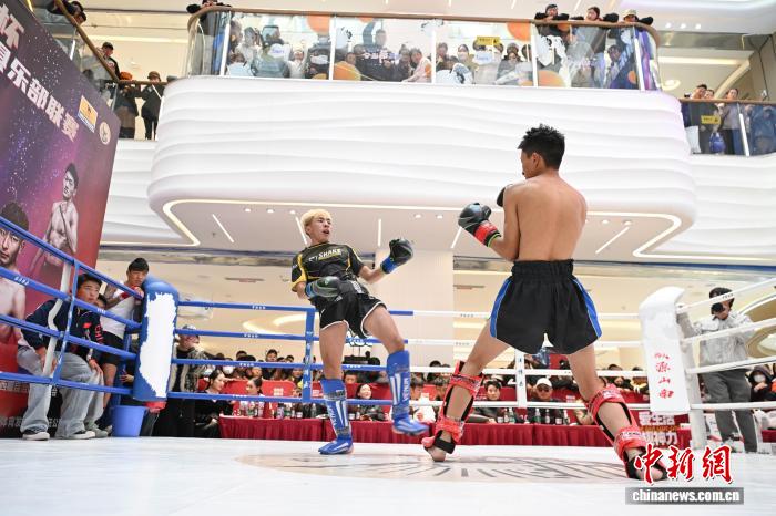 西藏搏擊聯(lián)賽熱血啟幕