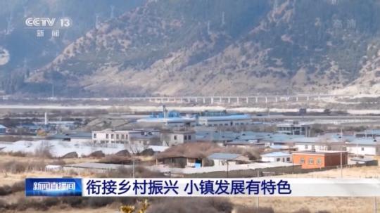 種蘑菇、養(yǎng)駱駝...。。特色產(chǎn)業(yè)助力鄉(xiāng)村振興走新路