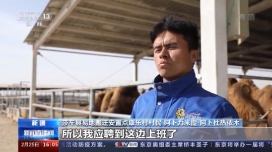 種蘑菇、養(yǎng)駱駝...。。特色產(chǎn)業(yè)助力鄉(xiāng)村振興走新路