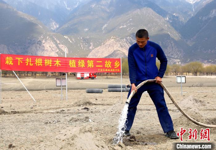 林芝市巴宜區(qū)森林消防中隊(duì)志愿服務(wù)隊(duì)澆水灌溉?！∥骼@拉翁 攝