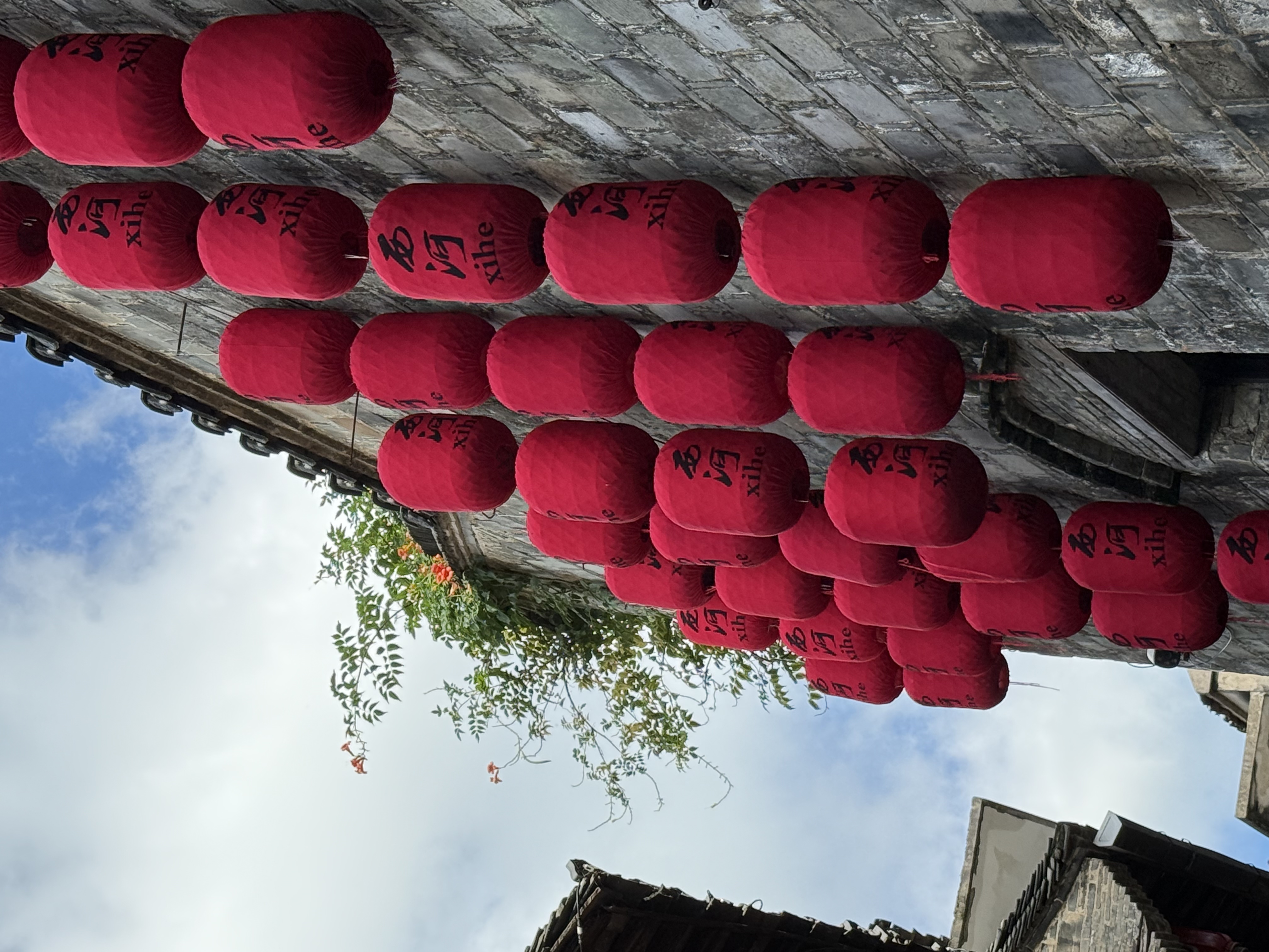 【2024打卡中國】外國網紅打卡蕪湖西河古鎮(zhèn) 品“江南水鄉(xiāng)”古韻長（組圖）
