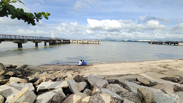 深圳紅樹林灘涂，留給了孩子們親近自然的空間。人民網記者 李彤攝