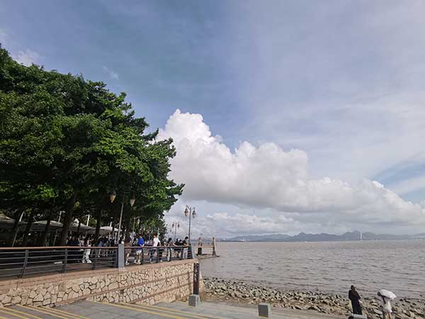 紅樹林灘涂沿線一角。人民網記者 張素玲攝