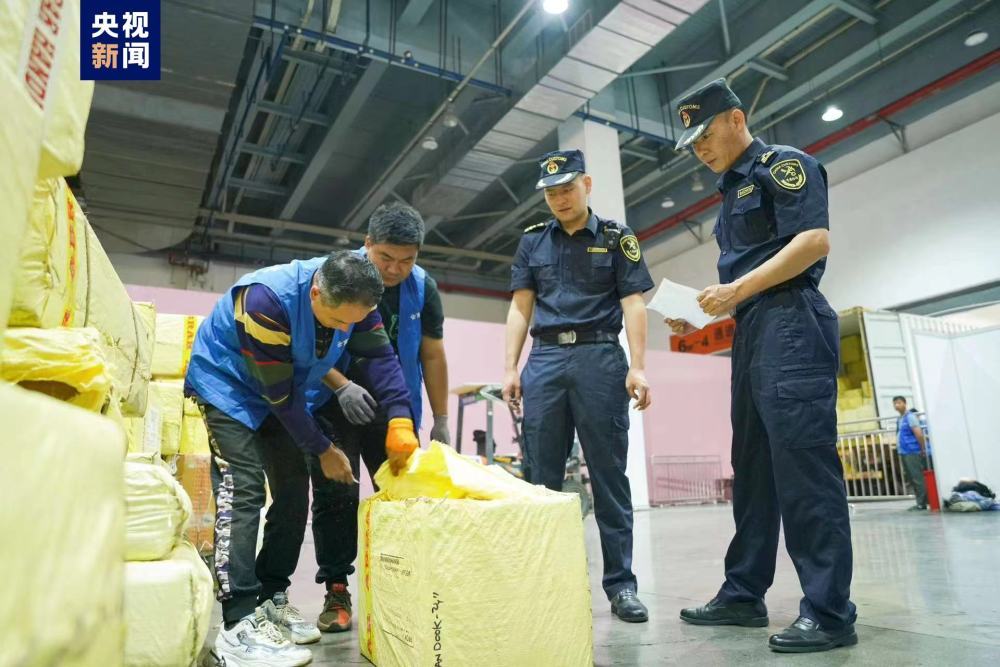 近萬件海外展品已入境！第8屆南博會(huì)亮點(diǎn)提前看→