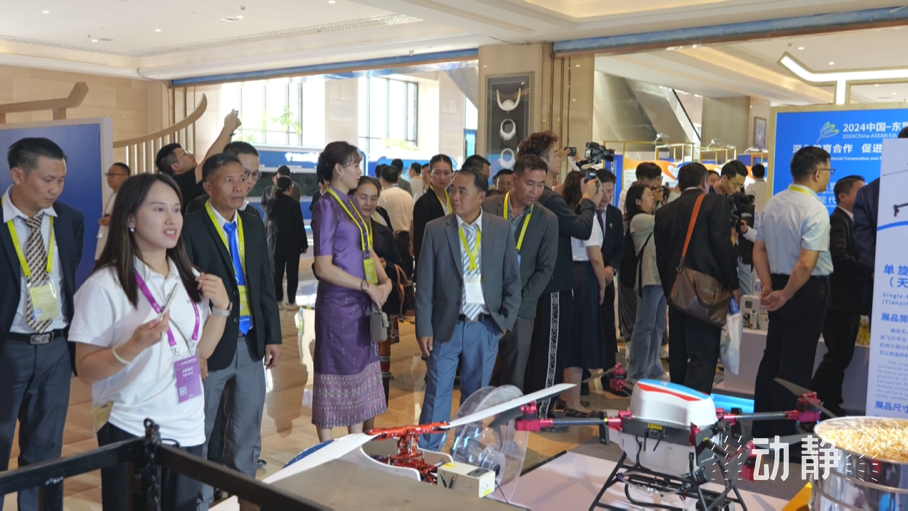 展示成果分享經(jīng)驗(yàn)，中國—東盟教育交流周深化合作共創(chuàng)未來！