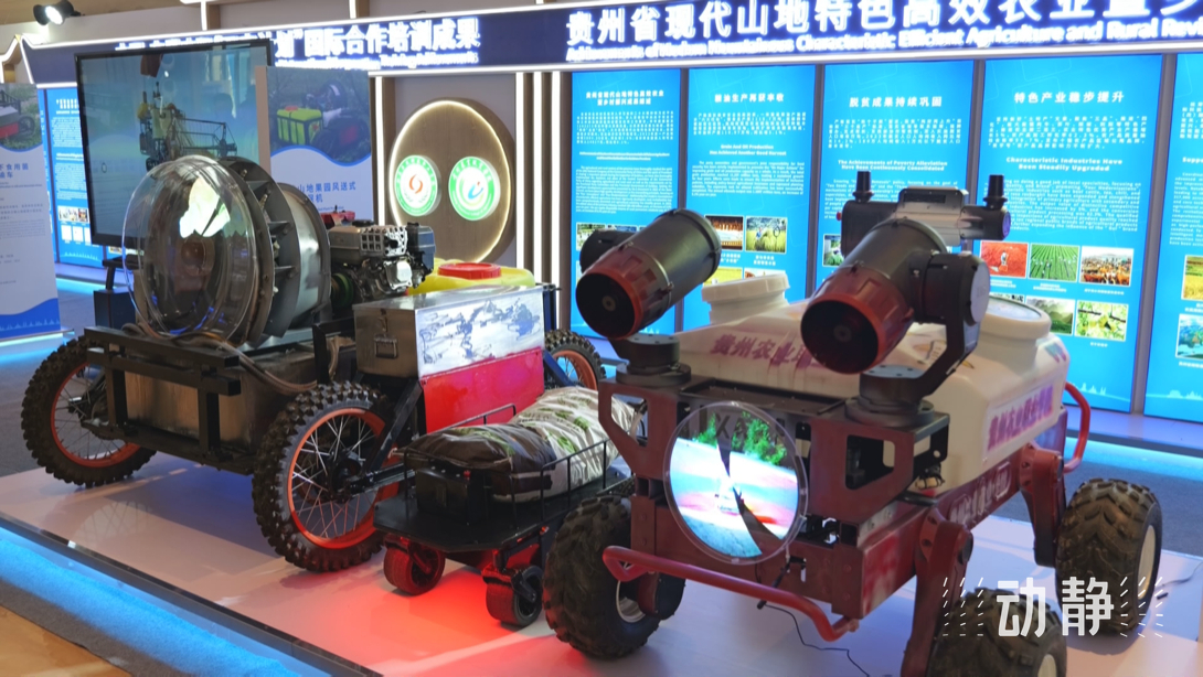 展示成果分享經(jīng)驗(yàn)，中國—東盟教育交流周深化合作共創(chuàng)未來！