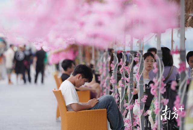 崖口村東堤靠近海岸，成為了熱門打卡休閑地點(diǎn)。