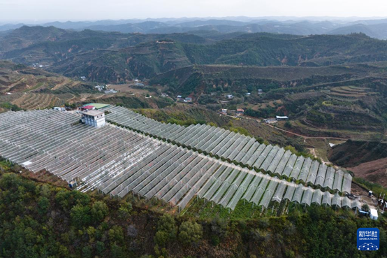 【高質(zhì)量發(fā)展看陜西】“上天”的延安蘋果，蘊藏哪些新質(zhì)生產(chǎn)力