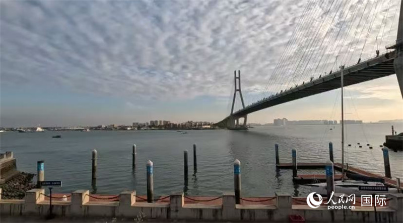 海南省儋州市洋浦大橋。人民網(wǎng) 薩拉·阿芙澤爾攝