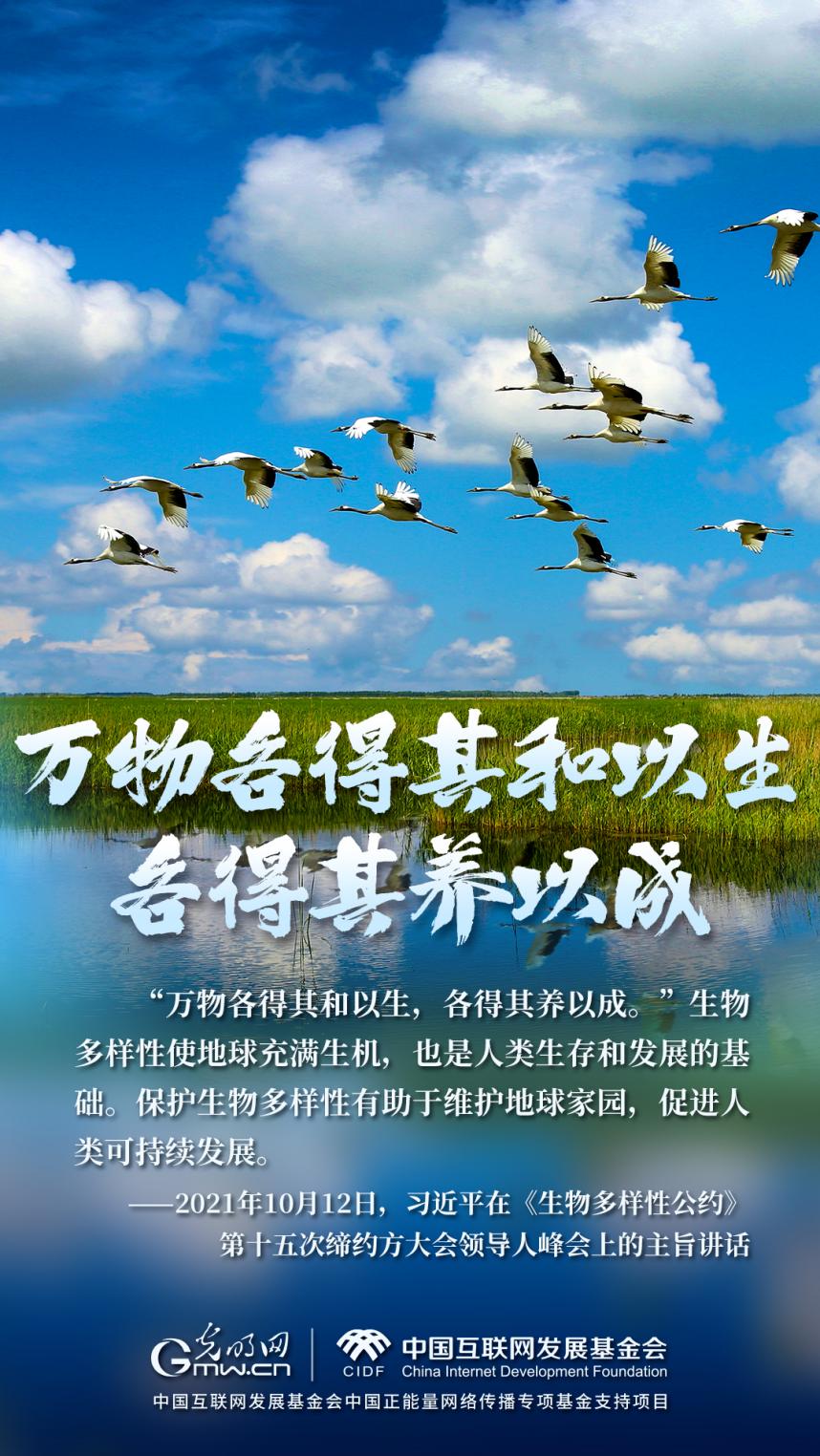 “兩山”理念與美麗中國(guó)丨濕地與候鳥(niǎo)，一場(chǎng)歲歲年年的相守