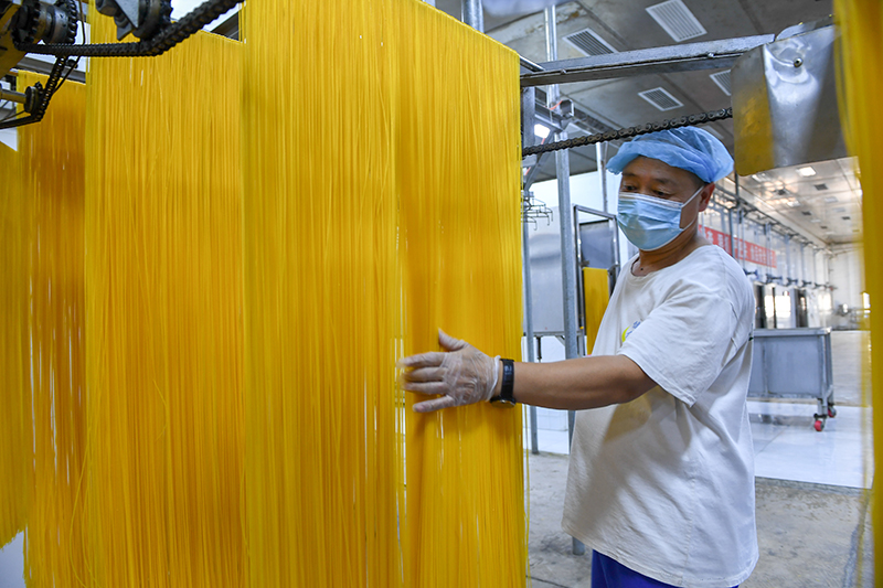 2024年1月25日，在吉林省公主嶺市的一家公司車間，工人查看玉米面條生產(chǎn)情況。