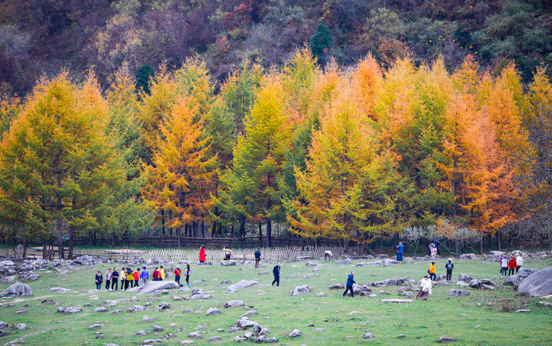 2023年10月27日，深秋時(shí)節(jié)的陜西秦嶺太子嶺漫山紅黃、色彩交織，進(jìn)入最佳觀賞期。