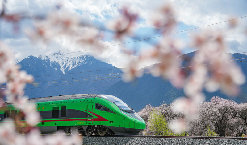 2025年4月2日，復(fù)興號列車穿行在拉林鐵路林芝段。