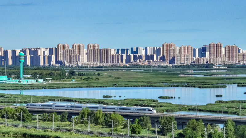 2025年8月17日，一列動車組列車駛過大慶東站。