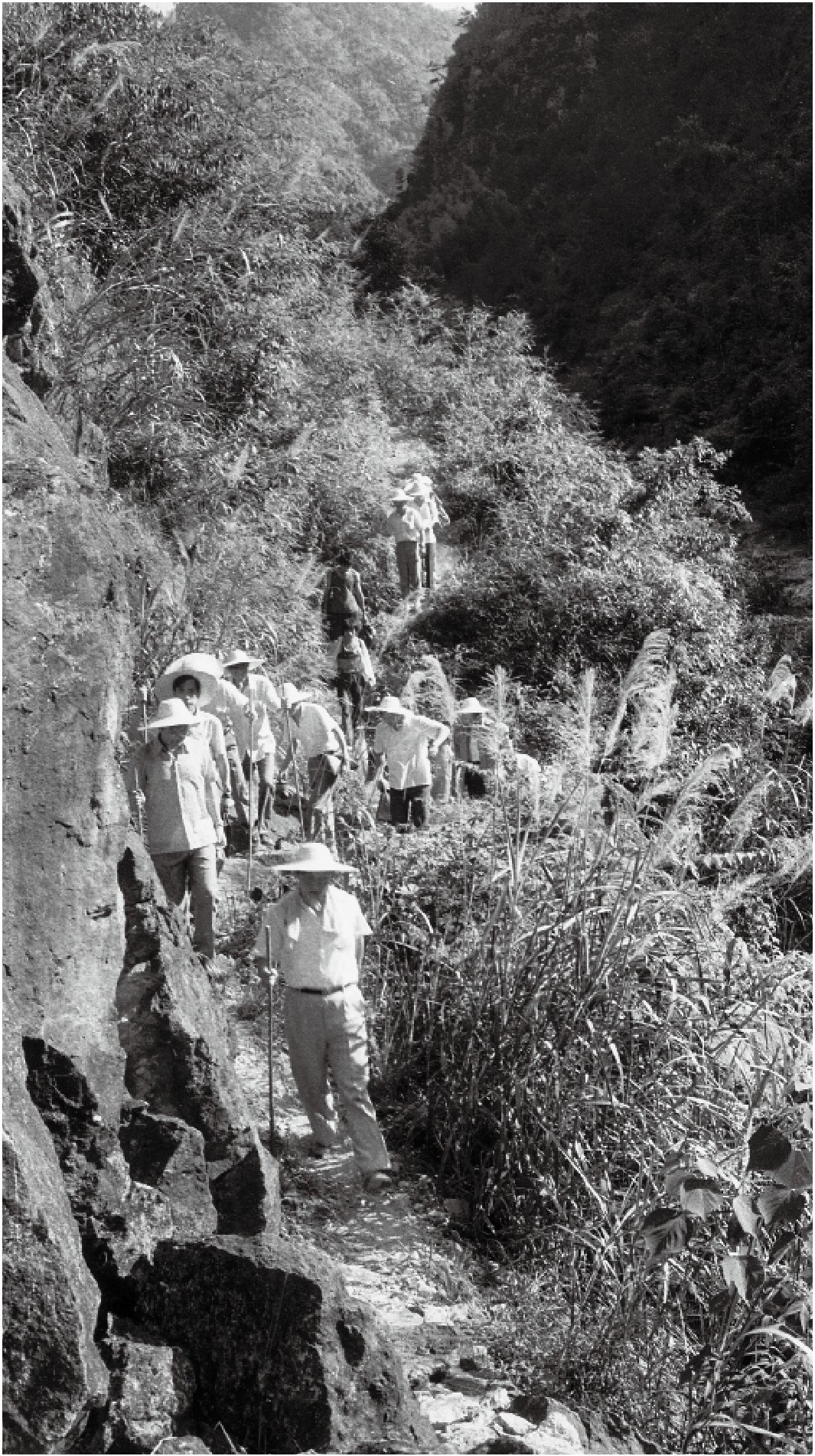 1989年7月，習近平一行到壽寧縣下黨鄉(xiāng)調研。