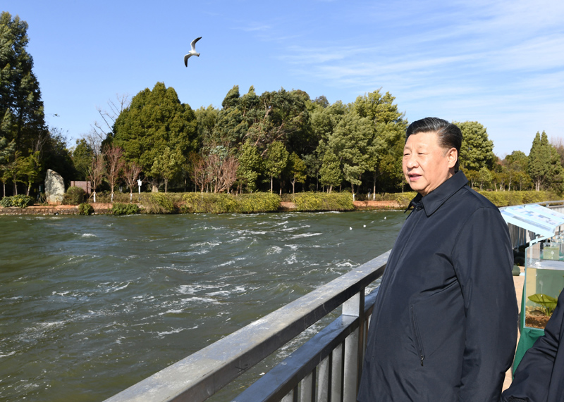 2020年1月20日下午，習(xí)近平總書(shū)記在云南昆明滇池星海半島生態(tài)濕地考察調(diào)研。