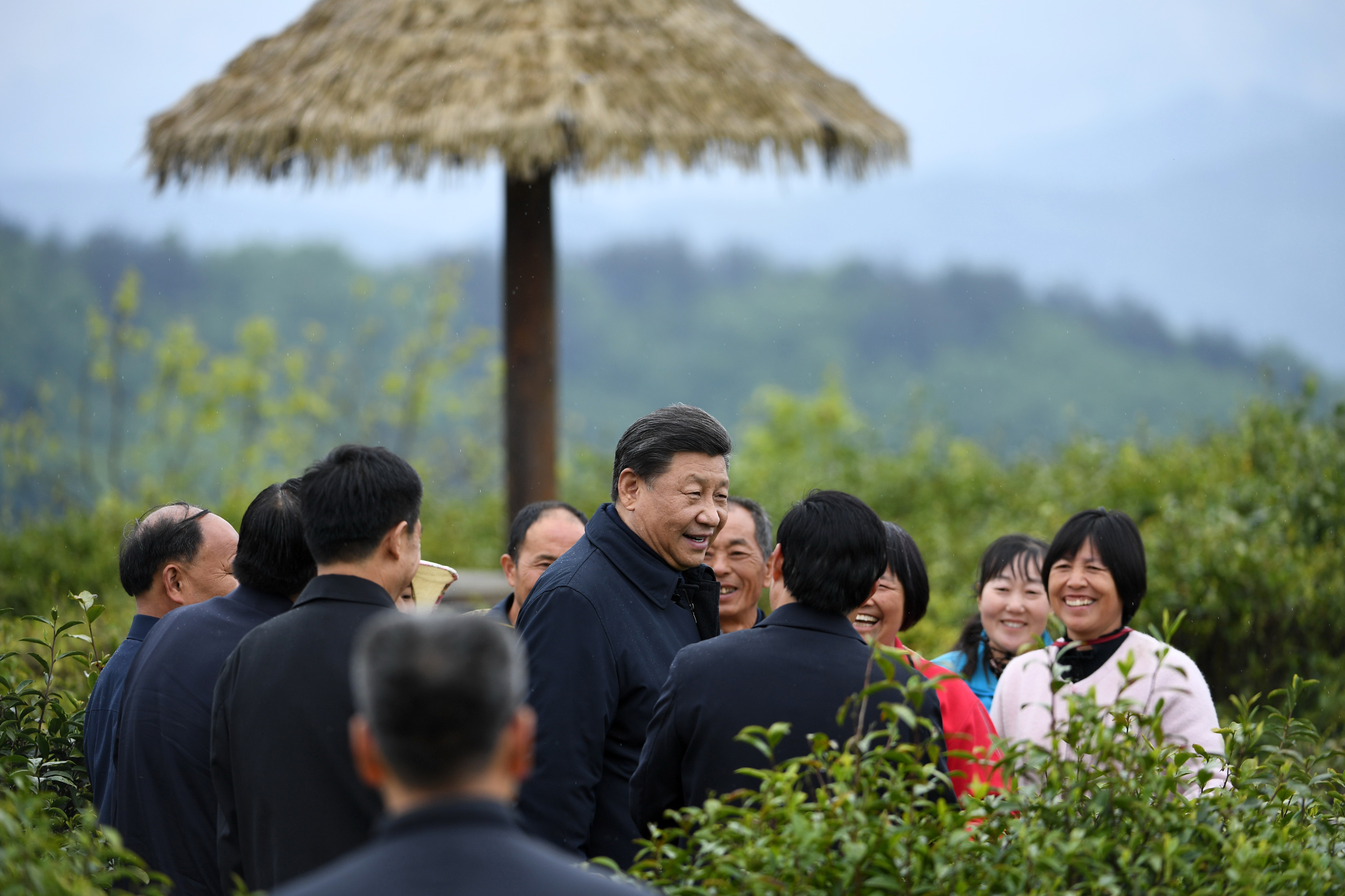 2020年4月21日，習(xí)近平在安康市平利縣老縣鎮(zhèn)蔣家坪村女媧鳳凰茶業(yè)現(xiàn)代示范園區(qū)，同茶農(nóng)們親切交談。