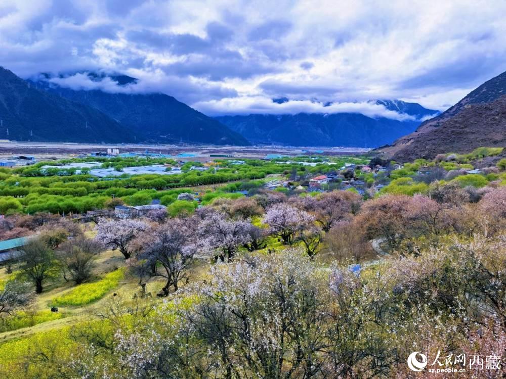 桃花從中的“童話小鎮(zhèn)”。人民網(wǎng) 李海霞攝