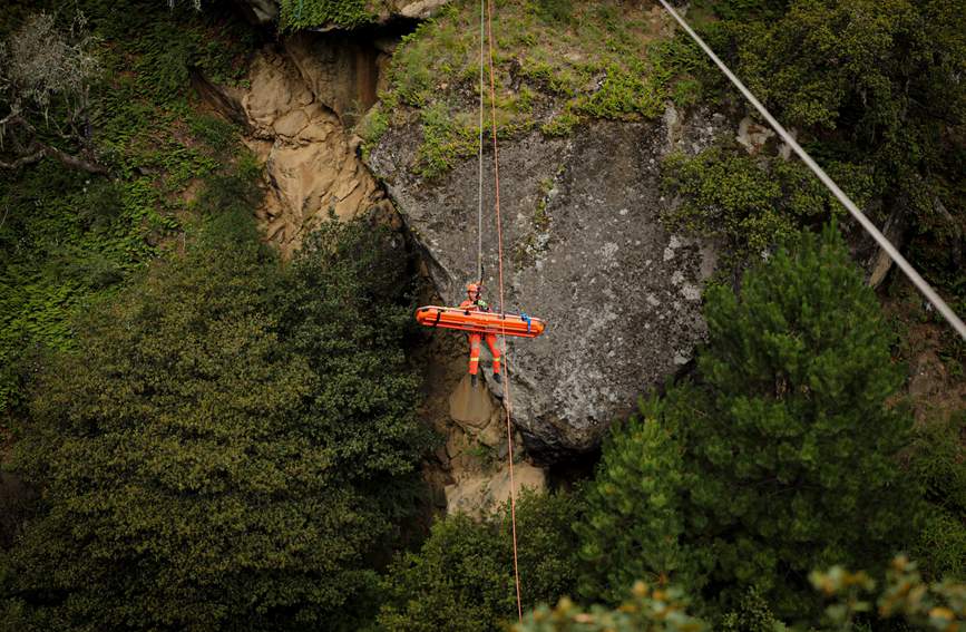 叢林中的橙色身影。西繞拉翁攝