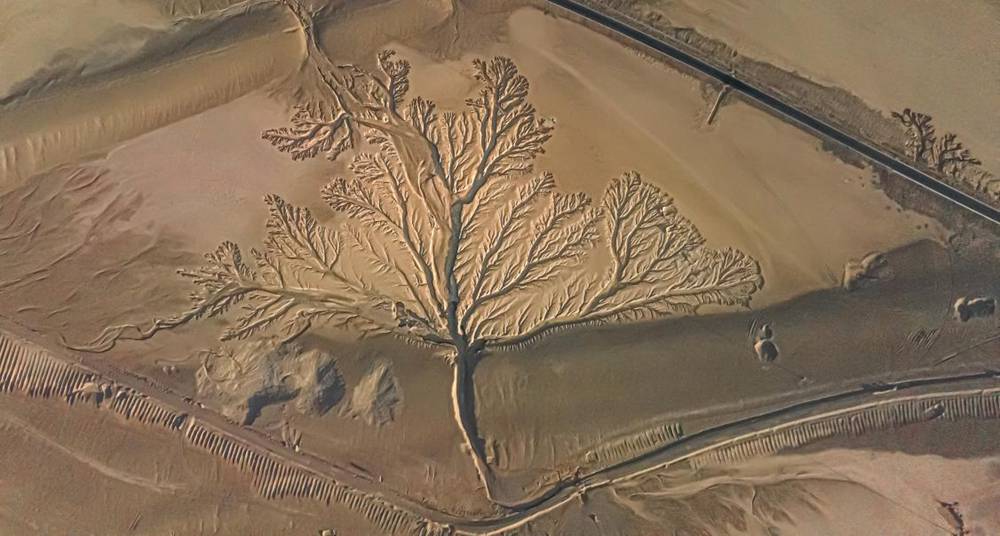 壯觀的“大地之樹”。邊巴多吉攝