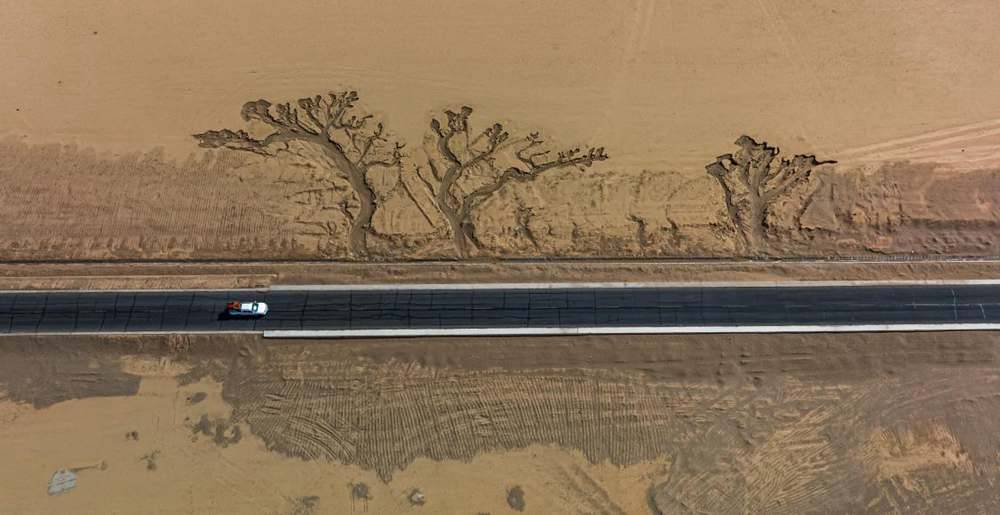 位于國道216沿線的“大地之樹”。邊巴多吉攝