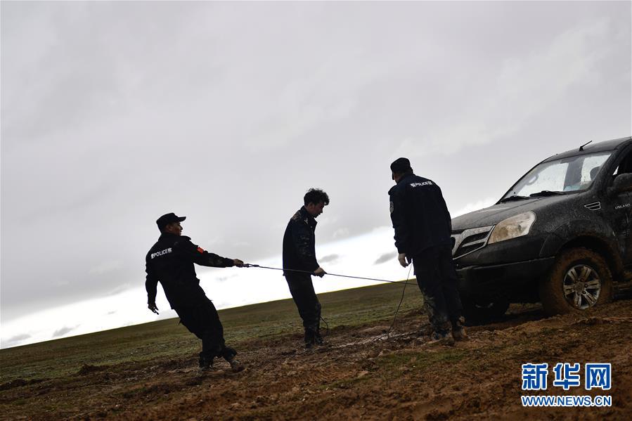 （圖文互動）（10）記者手記：可可西里，“挪”向“藏羚羊大產(chǎn)房”的14個半小時