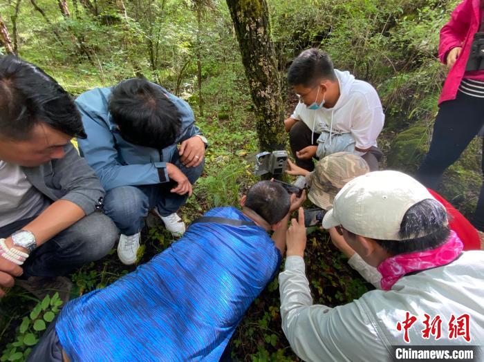 圖為訪客正在查看紅外相機(jī)中的拍攝畫面?！±罱瓕?攝