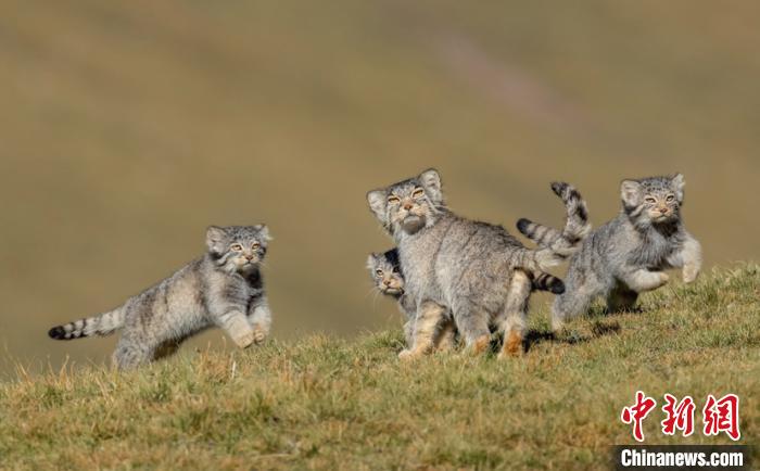 圖為李善元獲獎作品《當媽媽說跑步前進》?！±钌圃?攝