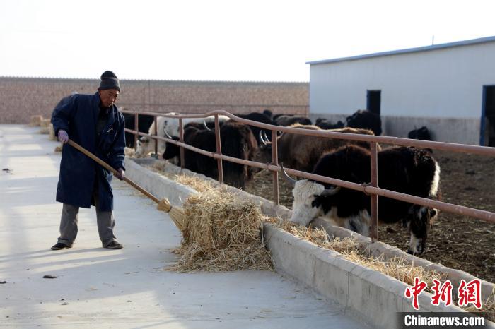 柴達(dá)木盆地蓮湖村：讓致富村民生活“?！逼饋? oldsrc=