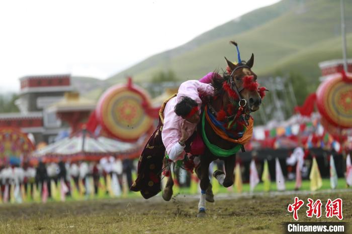 青海玉樹：70年，幸福生活如格桑花綻放