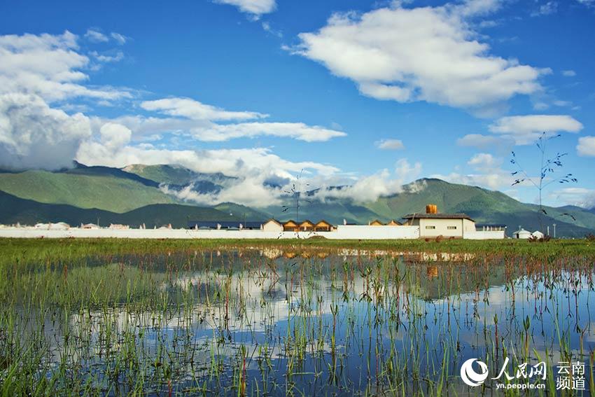 納帕海濕地風(fēng)景。呂昊辰攝