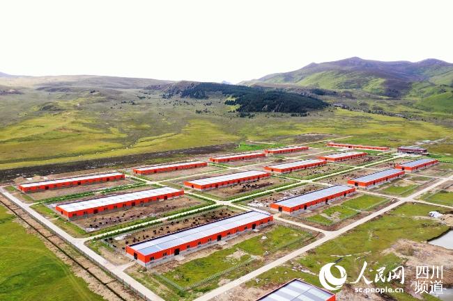 建設(shè)中的理塘縣牦牛產(chǎn)業(yè)園。葉強(qiáng)平攝