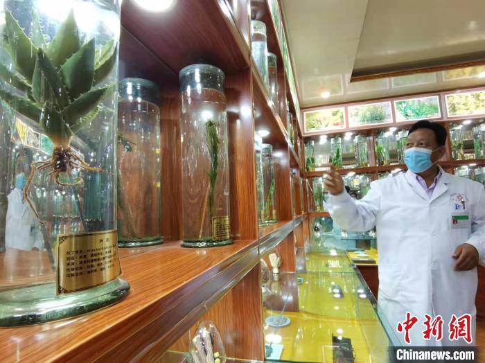 甘肅省甘南藏族自治州碌曲縣藏醫(yī)院副院長看照加近30年的從醫(yī)工作，堅持中藏醫(yī)特色優(yōu)勢相結(jié)合診療方法?！堟?攝