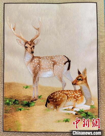 圖為藏繡作品?！∑钤鲚?攝