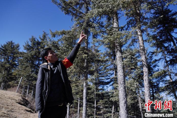 圖為桑杰加介紹林場樹木?！●R銘言 攝