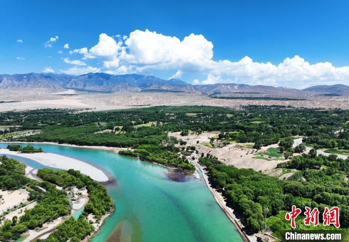 航拍貴德縣黃河岸畔綠意盎然。　馬銘言 攝