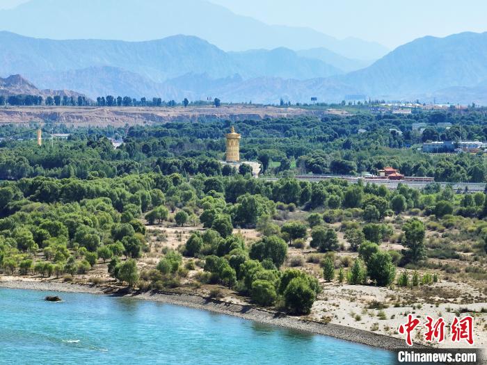 航拍貴德縣黃河岸畔綠意盎然?！●R銘言 攝